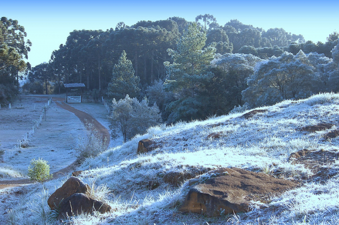 imagem que representa o clima equatorial